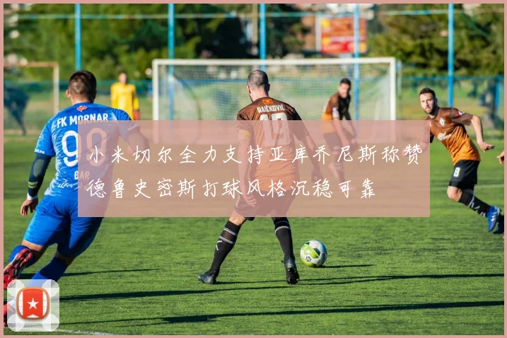 小米切尔全力支持亚库乔尼斯称赞德鲁史密斯打球风格沉稳可靠