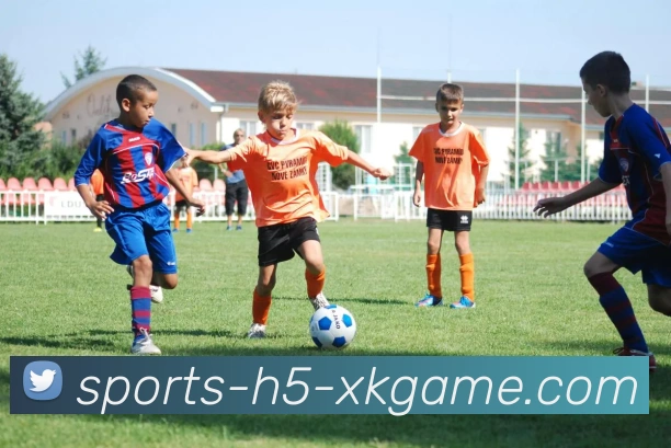 多媒体互动体验