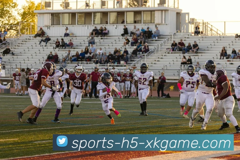 星空体育APP 体育赛事宣传图